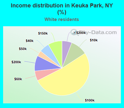 Income distribution in Keuka Park, NY (%)