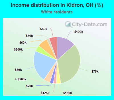Income distribution in Kidron, OH (%)