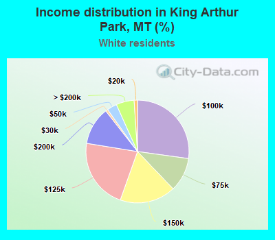 Income distribution in King Arthur Park, MT (%)