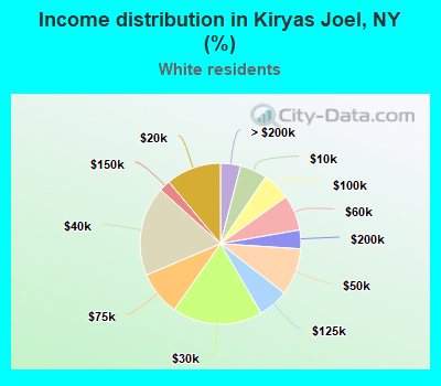 Income distribution in Kiryas Joel, NY (%)