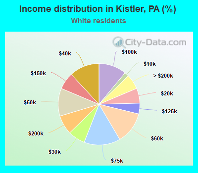 Income distribution in Kistler, PA (%)