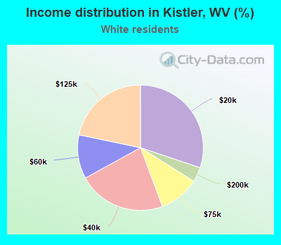 Income distribution in Kistler, WV (%)