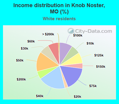 Income distribution in Knob Noster, MO (%)