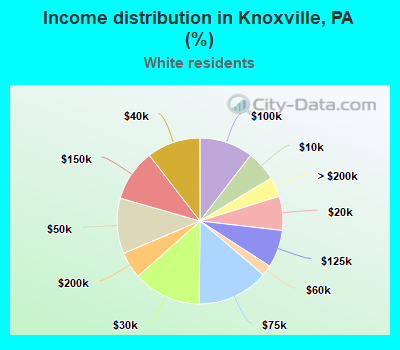 Income distribution in Knoxville, PA (%)