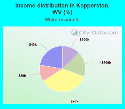 Income distribution in Kopperston, WV (%)