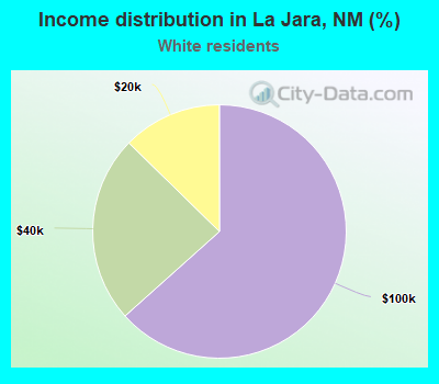 Income distribution in La Jara, NM (%)