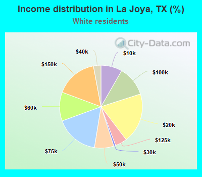 Income distribution in La Joya, TX (%)