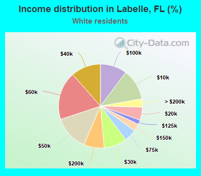 Income distribution in Labelle, FL (%)