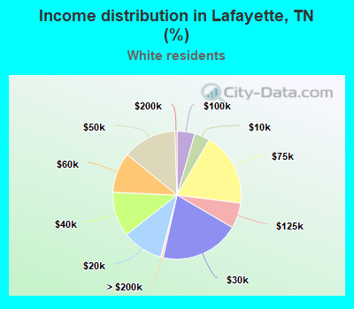 Income distribution in Lafayette, TN (%)