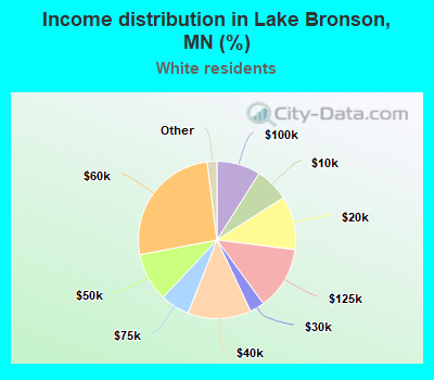 Income distribution in Lake Bronson, MN (%)