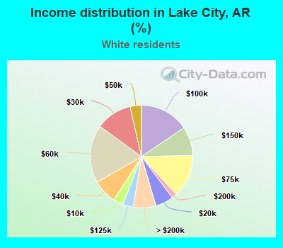 Income distribution in Lake City, AR (%)