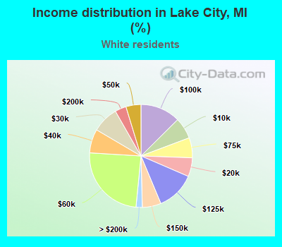 Income distribution in Lake City, MI (%)