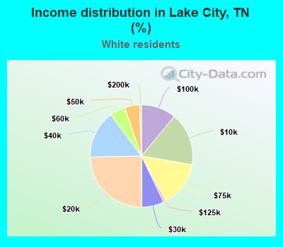 Income distribution in Lake City, TN (%)