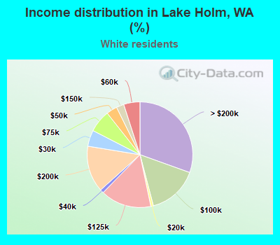 Income distribution in Lake Holm, WA (%)