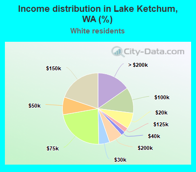 Income distribution in Lake Ketchum, WA (%)