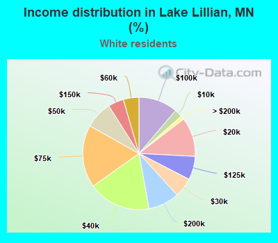 Income distribution in Lake Lillian, MN (%)
