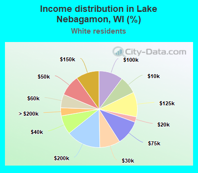 Income distribution in Lake Nebagamon, WI (%)