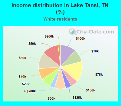 Income distribution in Lake Tansi, TN (%)