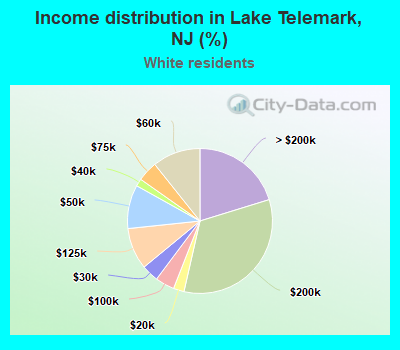Income distribution in Lake Telemark, NJ (%)