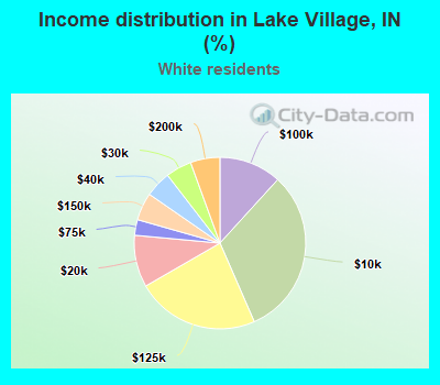Income distribution in Lake Village, IN (%)