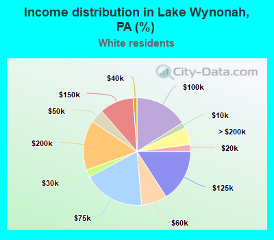 Income distribution in Lake Wynonah, PA (%)