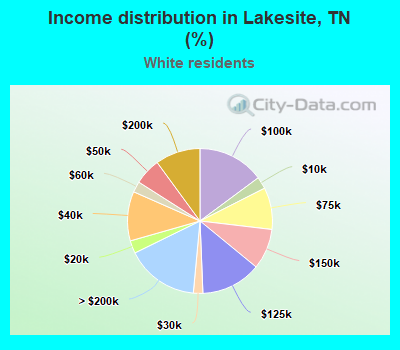 Income distribution in Lakesite, TN (%)