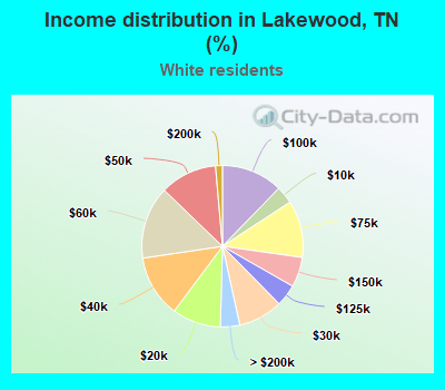 Income distribution in Lakewood, TN (%)