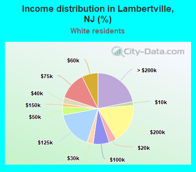 Income distribution in Lambertville, NJ (%)