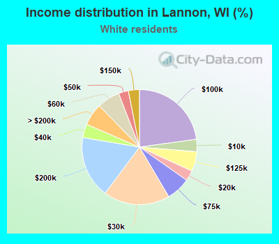 Income distribution in Lannon, WI (%)