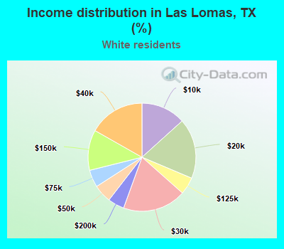 Income distribution in Las Lomas, TX (%)