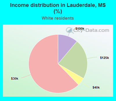Income distribution in Lauderdale, MS (%)