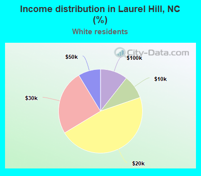 Income distribution in Laurel Hill, NC (%)