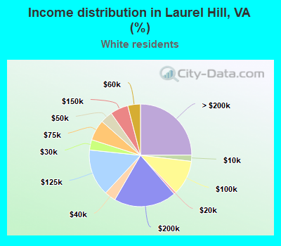 Income distribution in Laurel Hill, VA (%)