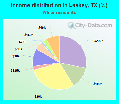Income distribution in Leakey, TX (%)
