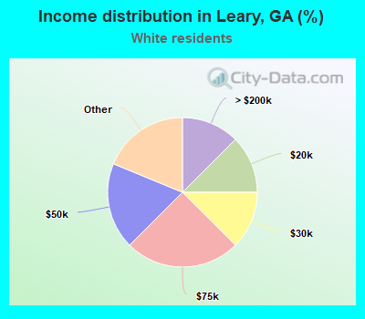 Income distribution in Leary, GA (%)