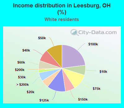 Income distribution in Leesburg, OH (%)