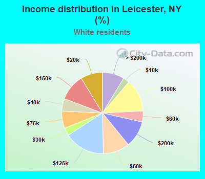 Income distribution in Leicester, NY (%)