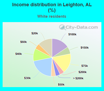 Income distribution in Leighton, AL (%)