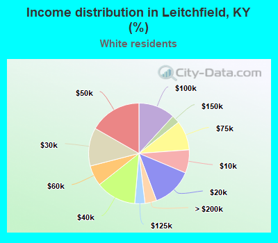 Income distribution in Leitchfield, KY (%)