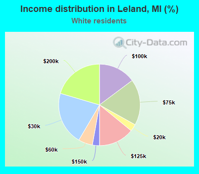 Income distribution in Leland, MI (%)