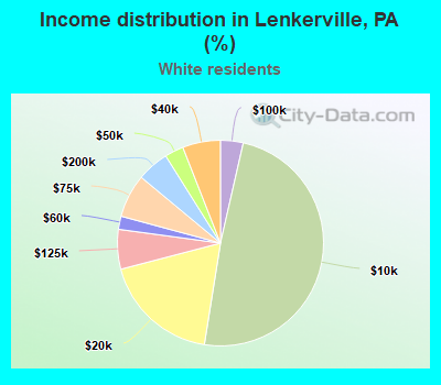 Income distribution in Lenkerville, PA (%)