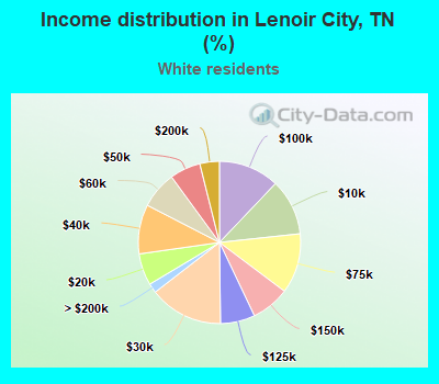 Income distribution in Lenoir City, TN (%)