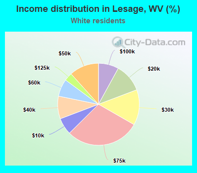 Income distribution in Lesage, WV (%)