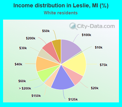 Income distribution in Leslie, MI (%)