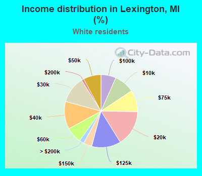 Income distribution in Lexington, MI (%)