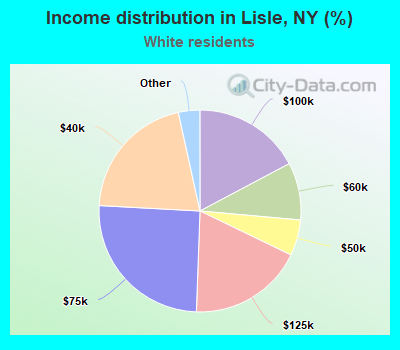 Income distribution in Lisle, NY (%)