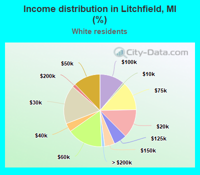 Income distribution in Litchfield, MI (%)