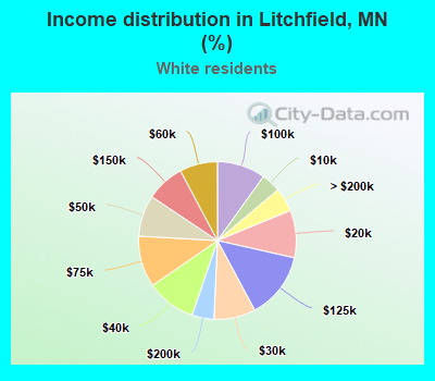 Income distribution in Litchfield, MN (%)