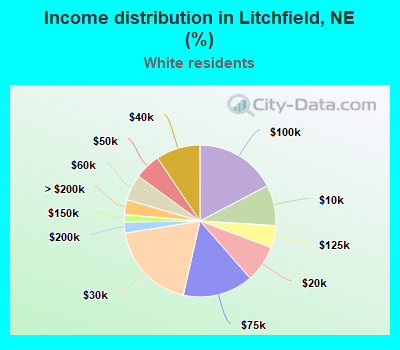 Income distribution in Litchfield, NE (%)