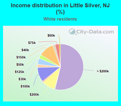 Income distribution in Little Silver, NJ (%)